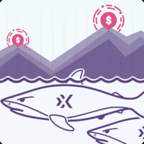 Окулы дохода