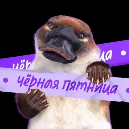 Чёрная пятница